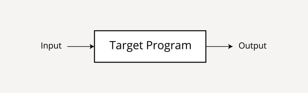 Running The Target Program