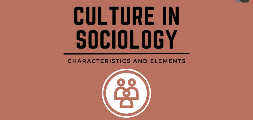 What is Culture in Sociology